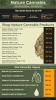  Free Nature Cannabis Signage digital menu Template